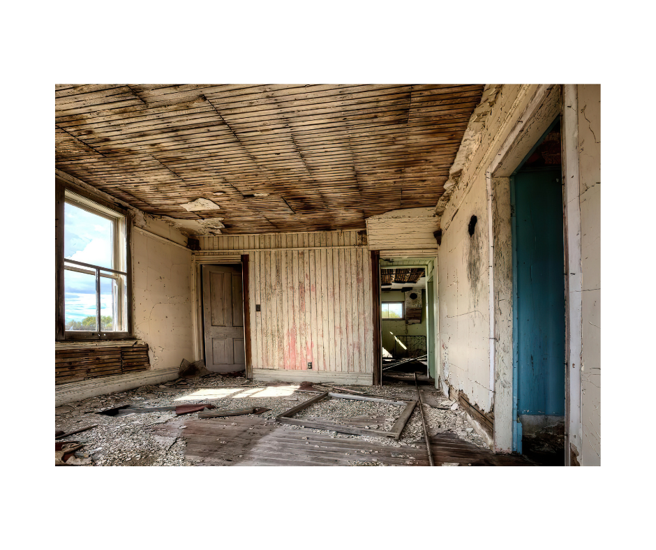 Mold remediation technician assessing mold growth on Long Island