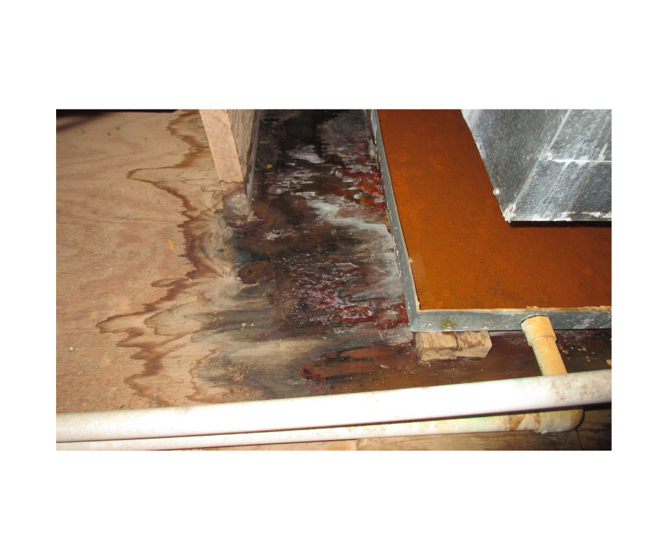 Water damage restoration technician extracting water on Long Island